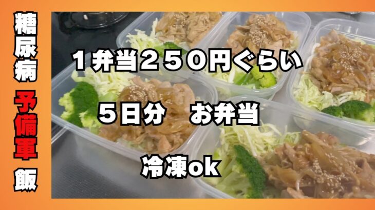 糖尿病 予備軍 お弁当【生姜焼き弁当】お弁当１個250円ほどで出来る。5日分弁当#弁当 #節約 #糖尿病 #ヘルシーレシピ