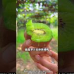 4个血糖友好型水果？ #糖尿病 #科普一下 #知识科普