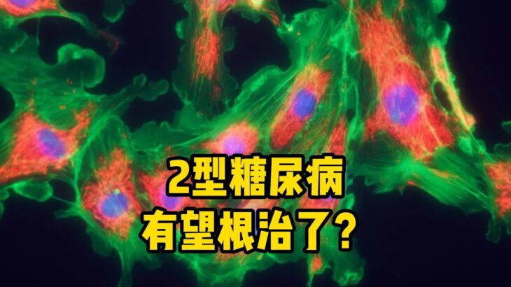 5 9亿糖尿病有望根治了？《科学》重磅！美国发现糖尿病逆转开关