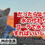 【実話 メキシコ】コカコーラ中毒で糖尿病患者が激増！？アメリカの8倍以上コーラを消費する国 #猫マニ #猫ミーム