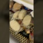 雪見だいふく食べた糖尿病838日目食事記録 #糖尿病 #diabetes