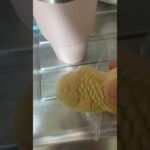 たい焼きアイス食べた糖尿病838日目食事記録 #糖尿病 #diabetes