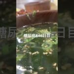 唐揚げ定食食べた糖尿病846日目食事記録 #糖尿病 #糖尿病の品格 #血糖値 #4毒抜き #糖質制限 #脂質制限 #ダイエット #ダイアベティス #肥満