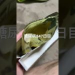 レトルトコーンシチューを飲んだ糖尿病847日目 #糖尿病 #糖尿病の品格 #血糖値 #糖質制限 #脂質制限 #4毒抜き #diabetes #food #cooking
