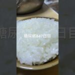 鶏肉と大根炊いたやつセット食べた糖尿病847日目食事記録 #糖尿病 #糖尿病の品格 #food #cooking #japanesefood #血糖値 #糖質制限 #脂質制限 #diabetes