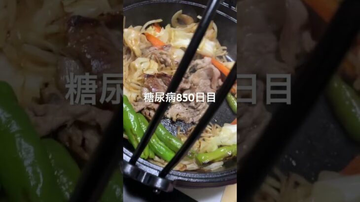 ジンギスカン食べた🐑糖尿病850日目食事記録 #糖尿病 #糖尿病の品格 #血糖値 #糖質制限 #脂質制限 #4毒抜き #cooking #food #japanesefood #ジンギスカン