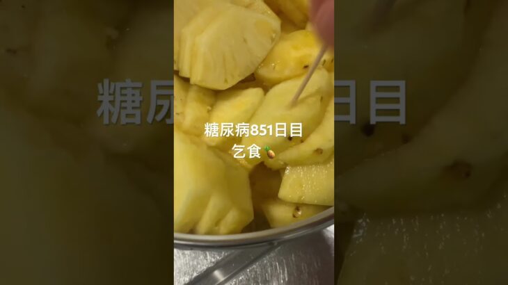 ゴミ同然の乞食パイナップルしごいた糖尿病851日目 #糖尿病 #糖尿病の品格 #糖質制限 #4毒抜き #血糖値 #脂質制限 #パイナップル #ダイアベティス #diabetes