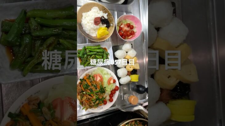 豚キムチとししとうおにぎり🍙食べた糖尿病857日目食事記録 #shorts  #viral  #糖尿病  #糖尿病の品格  #糖質制限 #4毒抜き #血糖値 #豚キムチ #おにぎり #japan