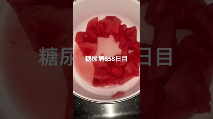 スイカ食べた糖尿病858日目　#shorts  #viral  #糖尿病  #糖尿病の品格  #糖質制限 #4毒抜き #スイカ #血糖値