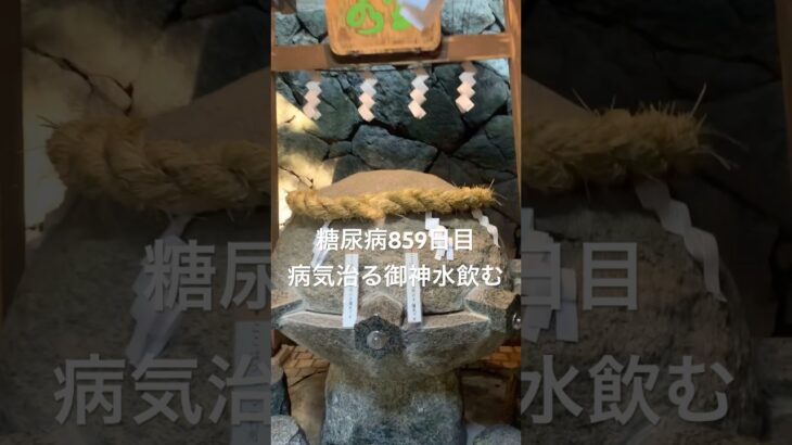 奈良県大神神社の病気治る水飲んだ糖尿病859日目 #糖尿病 #糖尿病の品格 #心筋梗塞 #痛風 #高血圧 #脂肪肝 #脂質異常症 #肥満 #生活習慣病 #心不全