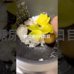 おひつご飯に沢庵と昆布ぶち込んでかっさらう糖尿病859日目 #shorts  #糖尿病  #糖尿病の品格  #糖質制限 #4毒抜き #血糖値 #hba1c
