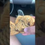 血糖値を管理運営した糖尿病859日目食事記録 #shorts  #viral  #糖尿病  #糖尿病の品格  #糖質制限 #4毒抜き #血糖値