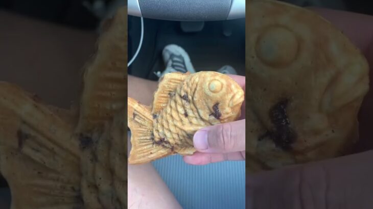 血糖値を管理運営した糖尿病859日目食事記録 #shorts  #viral  #糖尿病  #糖尿病の品格  #糖質制限 #4毒抜き #血糖値