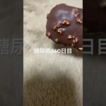 たまにはナッツチョコアイスも悪く無い糖尿病860日目食事記録  #糖尿病  #糖尿病の品格  #糖質制限 #4毒抜き #血糖値 #hba1c