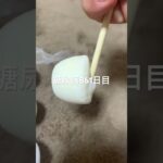 雪見だいふく大好き愛してる糖尿病861日目  #糖尿病  #糖尿病の品格  #糖質制限 #4毒抜き #血糖値 #hba1c #雪見だいふく #アイス