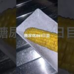 茹でとうもろこしが不時着した糖尿病861日目食事記録  #糖尿病  #糖尿病の品格  #糖質制限 #4毒抜き #血糖値 #hba1c #とうもろこし