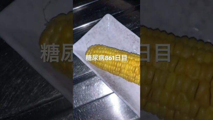 茹でとうもろこしが不時着した糖尿病861日目食事記録  #糖尿病  #糖尿病の品格  #糖質制限 #4毒抜き #血糖値 #hba1c #とうもろこし