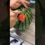 血糖値がローリングサンダー🎤ちゃんぽん🍜スイカ🍉コストコ乞食🧑‍🦲した糖尿病863日目食事記録  #糖尿病  #糖尿病の品格  #糖質制限 #4毒抜き #血糖値 #hba1c #料理 #昭和