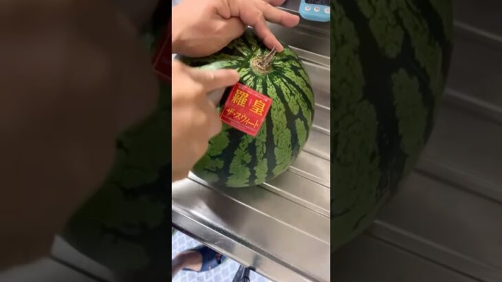 血糖値がローリングサンダー🎤ちゃんぽん🍜スイカ🍉コストコ乞食🧑‍🦲した糖尿病863日目食事記録  #糖尿病  #糖尿病の品格  #糖質制限 #4毒抜き #血糖値 #hba1c #料理 #昭和