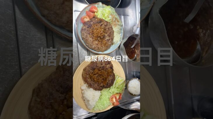 クソデカハンバーグ定食食べた🐻糖尿病864日目食事記録  #糖尿病  #糖尿病の品格  #糖質制限 #4毒抜き #血糖値 #hba1c #shorts #vlog