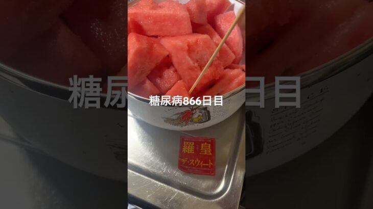 スイカ食べ過ぎておなかちゃぽちゃぽな糖尿病866日目  #糖尿病  #糖尿病の品格  #糖質制限 #4毒抜き #血糖値 #hba1c