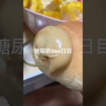 気が狂ってしまった糖尿病の食事あるあるメープルバターマシマシパンシチュー食べた866日目食事記録  #糖尿病  #糖尿病の品格  #糖質制限 #4毒抜き #血糖値 #hba1c #cooking