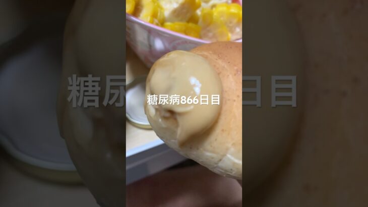 気が狂ってしまった糖尿病の食事あるあるメープルバターマシマシパンシチュー食べた866日目食事記録  #糖尿病  #糖尿病の品格  #糖質制限 #4毒抜き #血糖値 #hba1c #cooking