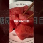 はらぺこあおむし冷蔵庫ほじってスイカを得る糖尿病867日目食事記録  #糖尿病  #糖尿病の品格  #糖質制限 #4毒抜き #血糖値 #hba1c #スイカ #冷蔵庫荒らし