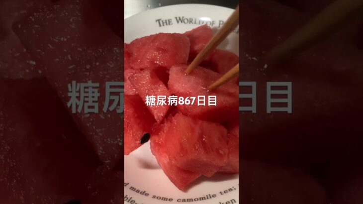 はらぺこあおむし冷蔵庫ほじってスイカを得る糖尿病867日目食事記録  #糖尿病  #糖尿病の品格  #糖質制限 #4毒抜き #血糖値 #hba1c #スイカ #冷蔵庫荒らし