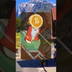 BTC Fanatic rescues NFT markets as bears sleep #MaxiTakesOver #BTCAscend