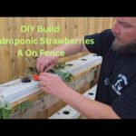 DIY hydroponic fence for growing strawberries from nft gutters