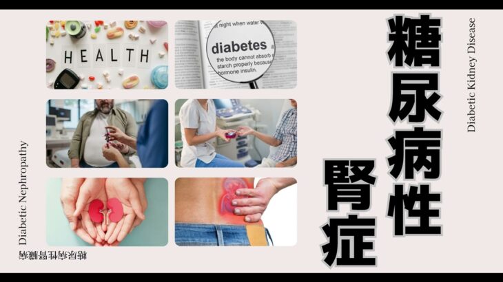 糖尿病性腎症(DKD) 症状と検査〜初期サインを見逃すな