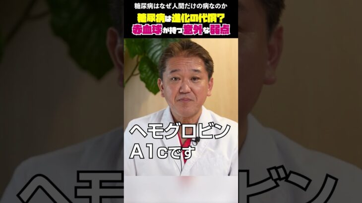 進化の代償！糖尿病はなぜ人間だけの病なのか #糖尿病 #糖化ヘモグロビン #HbA1c #進化医学 #健康リスク