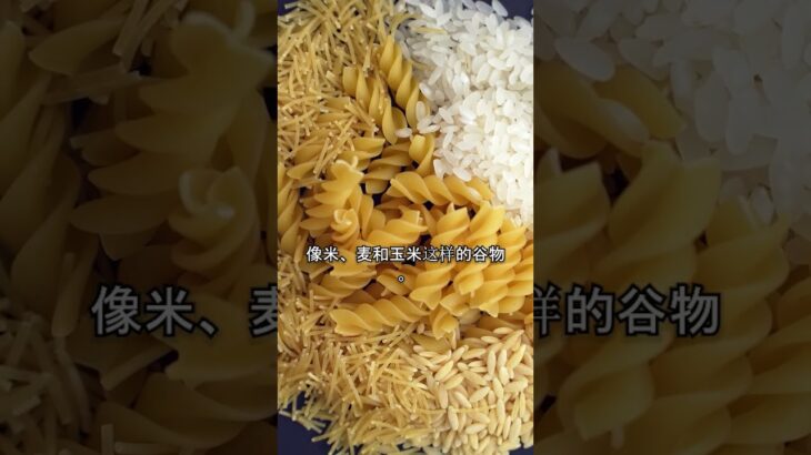 阻止儿童糖尿病！John博士揭示谷物如何影响你的孩子 🚫🌾