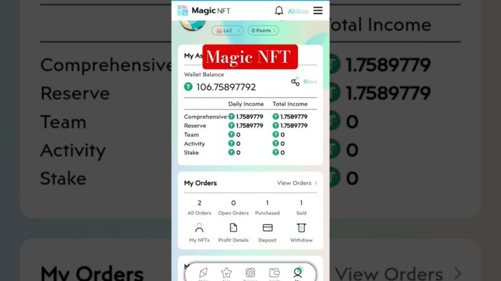 Magic NFT Withdrawal System ok