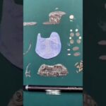 Mosciun will be live on Friday #nft #shortvideo #art #shortsvideo #fypシ゚viral #shorts #fyp #short
