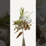 #NFT #ART #FLOWER