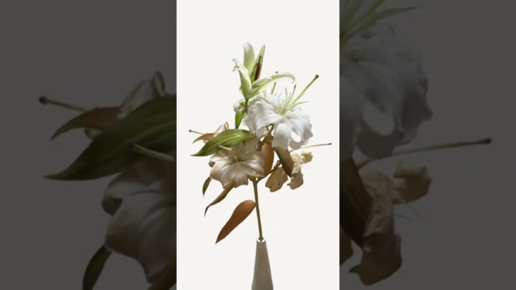 #NFT #ART #FLOWER