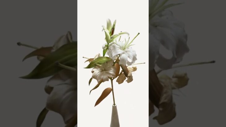 #NFT #ART #FLOWER