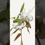#NFT #ART #FLOWER