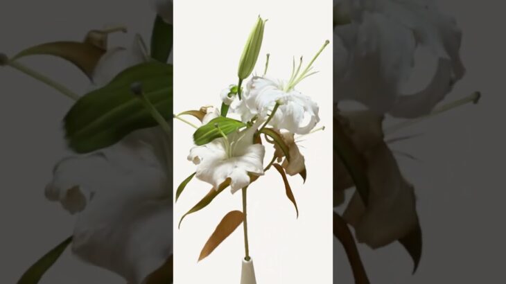 #NFT #ART #FLOWER