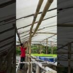 Penambahan Rak Instalasi Peremajan Hidroponik NFT #short #shorts #shortvideo #hidroponik