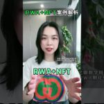 RWA+NFT案例解析：泡沫破灭后，价值这样托底！#web3 #RWA#NFT赛道 #数据资产 #轻量化模型#NFT#商业模式创新 #数字金融