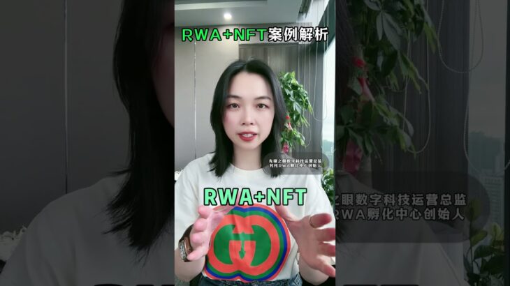 RWA+NFT案例解析：泡沫破灭后，价值这样托底！#web3 #RWA#NFT赛道 #数据资产 #轻量化模型#NFT#商业模式创新 #数字金融