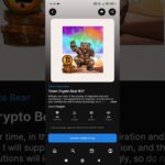 Token Crypto Bear #37. NFT Collection . #nft #opensea #bitcoin #bear #art #ethereum #nftart #shorts