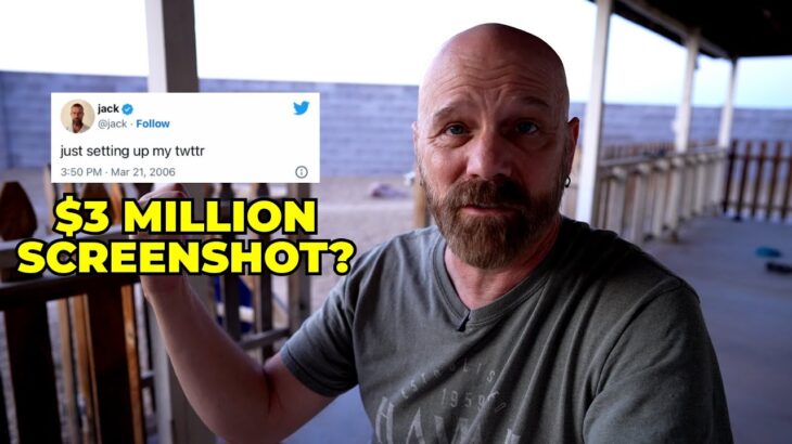 You Deserve to Lose $3M on That Dumb NFT! | Vlog 31