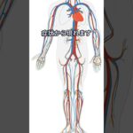 糖尿病足切断の危機と予防 #diabetes #糖尿病 #プチ知識 #雑学