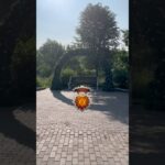 Лето покупаю подарки #nft #telegram #nature #russia #portal #durov #tg #music #remix
