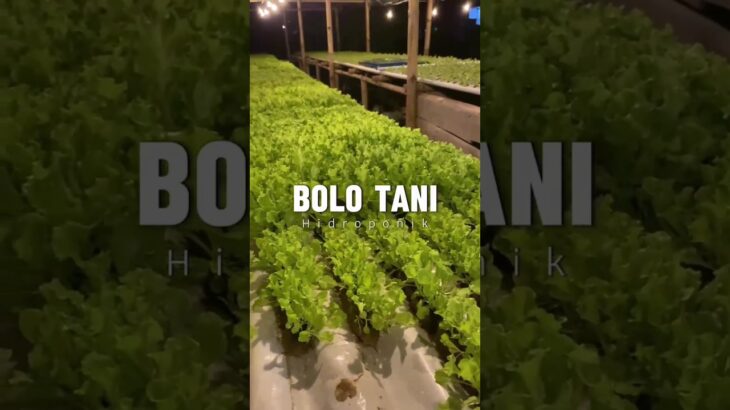pemasangan pipa pada rak instalasi hidroponik NFT 🥬👨🏻‍🌾 #short #shorts #shortvideo #hidroponik