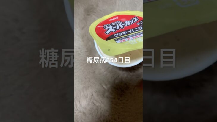 スーパーカップクッキーバニラで天国に行く糖尿病 #shorts